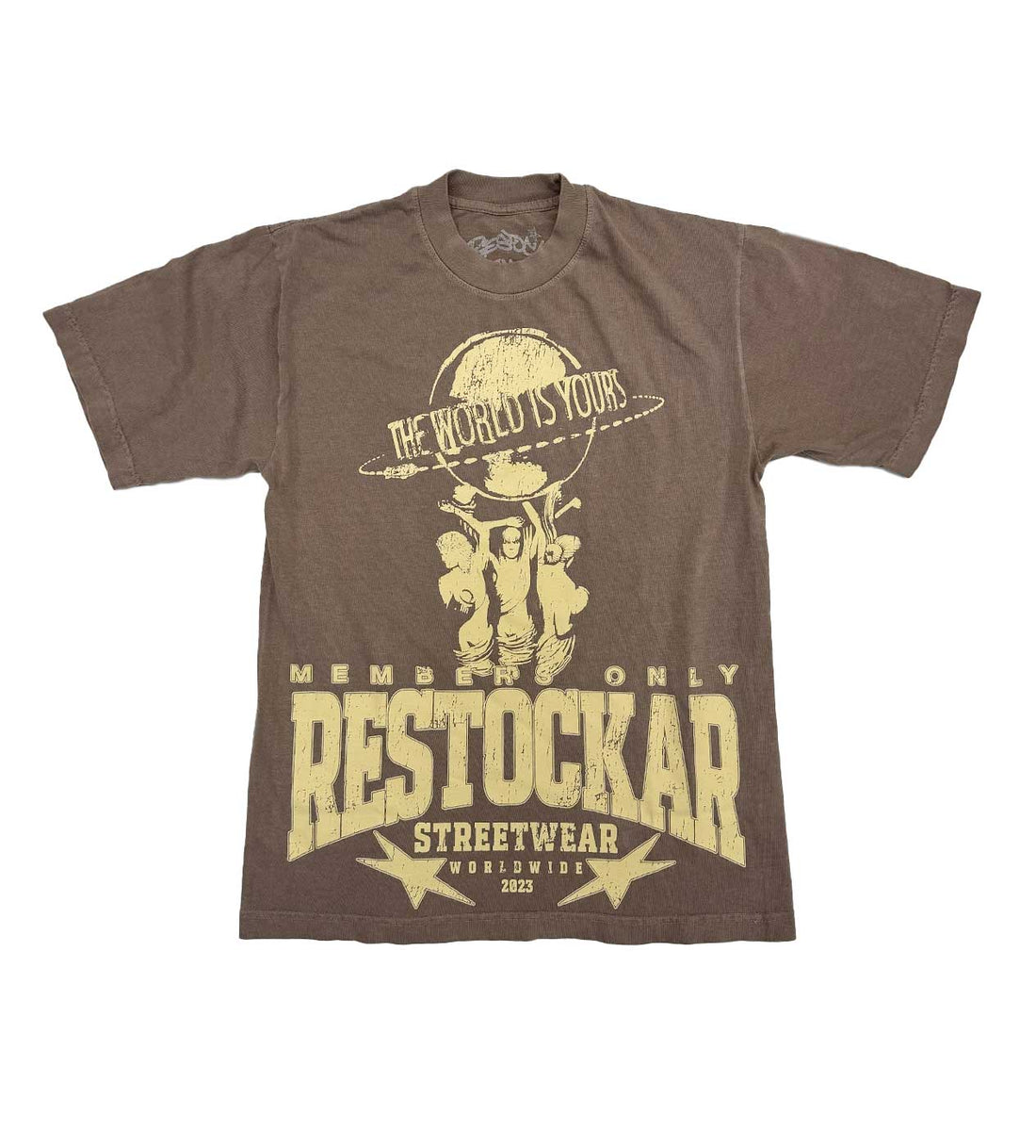 Restock AR The World Is Yours Tee Brown front view