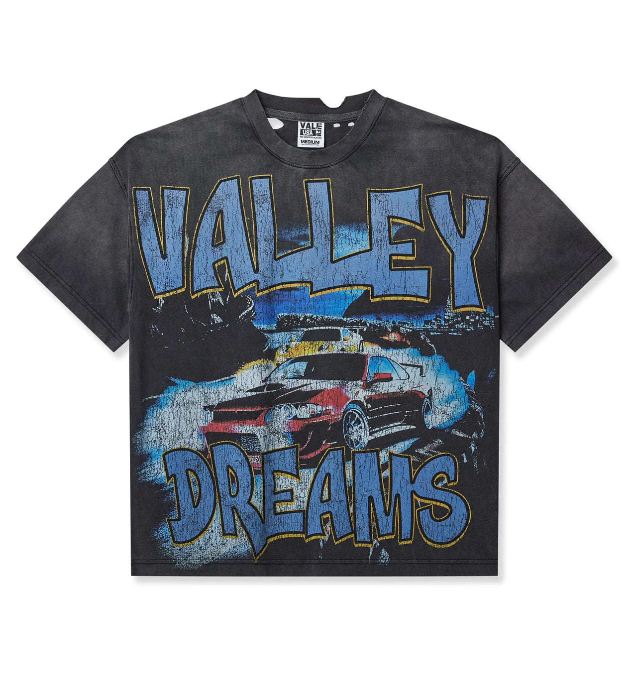 Vale Forever Mount Akina Tee Black