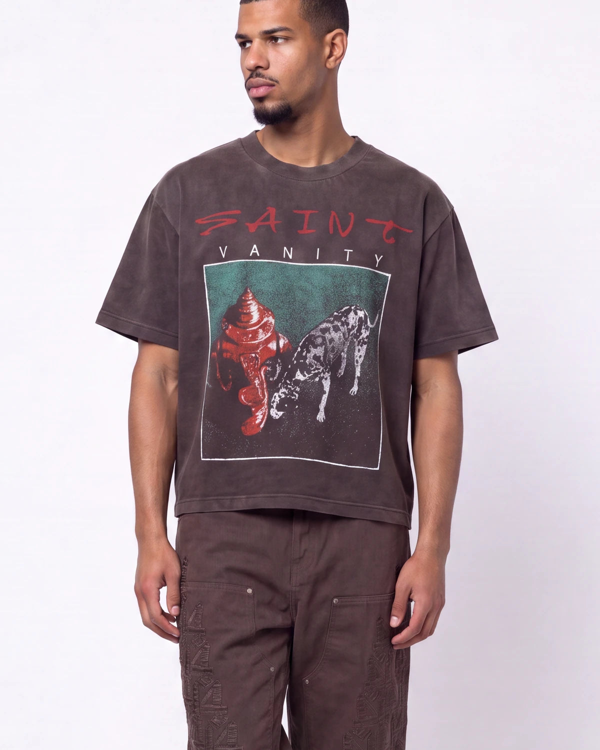 A man wearing a Saint Vanity brand brown graphic t-shirt and matching brown cargo pants, standing against a plain white studio background.