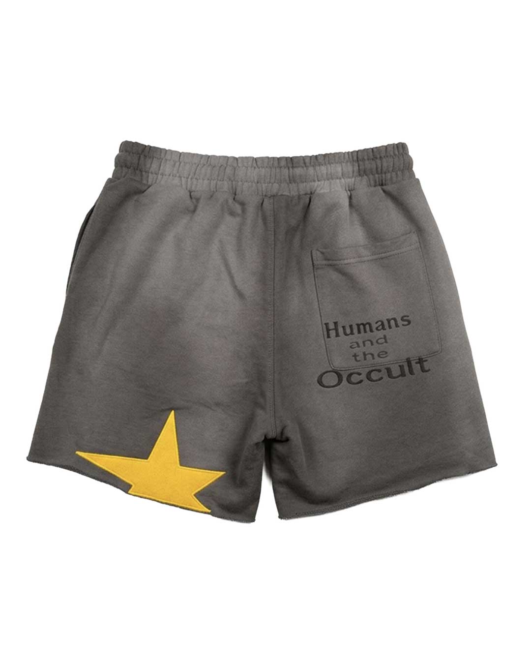 All Human V Bucks Shorts charcoal wash, back view showing the Humans and the Occult pocket print and gold star at the hem