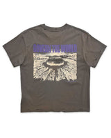Birth of Royal Child Akira Destroyed Tee Grey