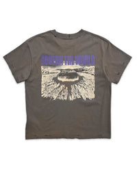 Birth of Royal Child Akira Destroyed Tee Grey