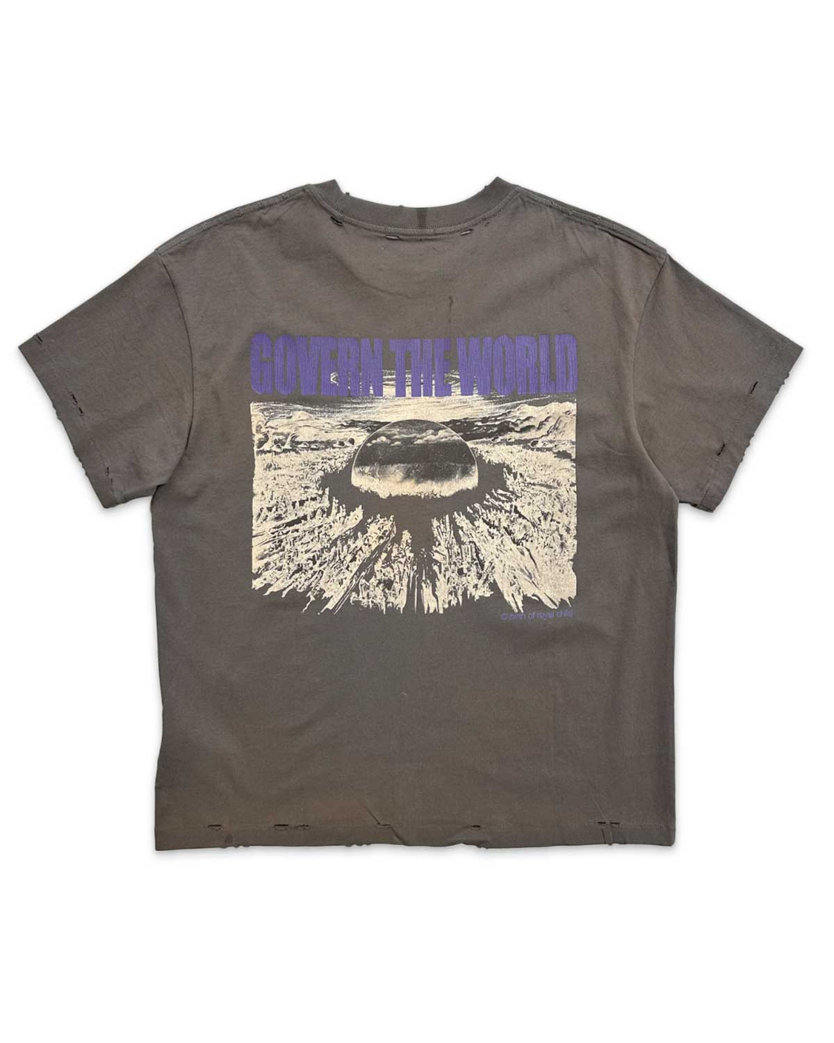 Birth of Royal Child Akira Destroyed Tee Grey