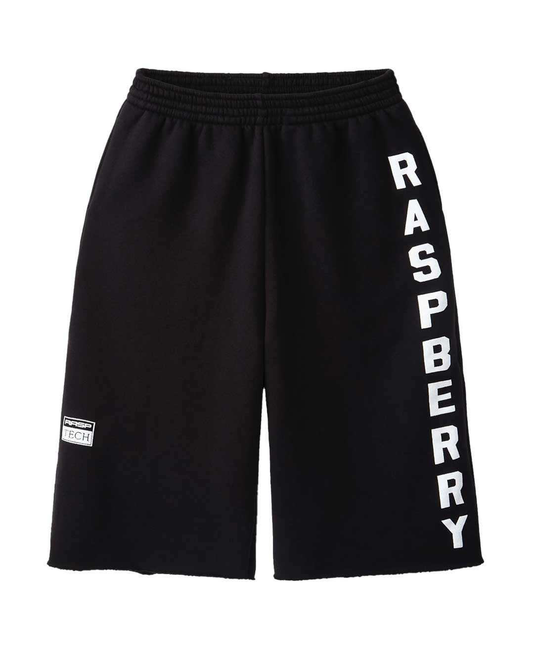 GV Gallery Berry Cutoff Shorts black, black fleece shorts with a white RASPBERRY leg print and raw hem, front view