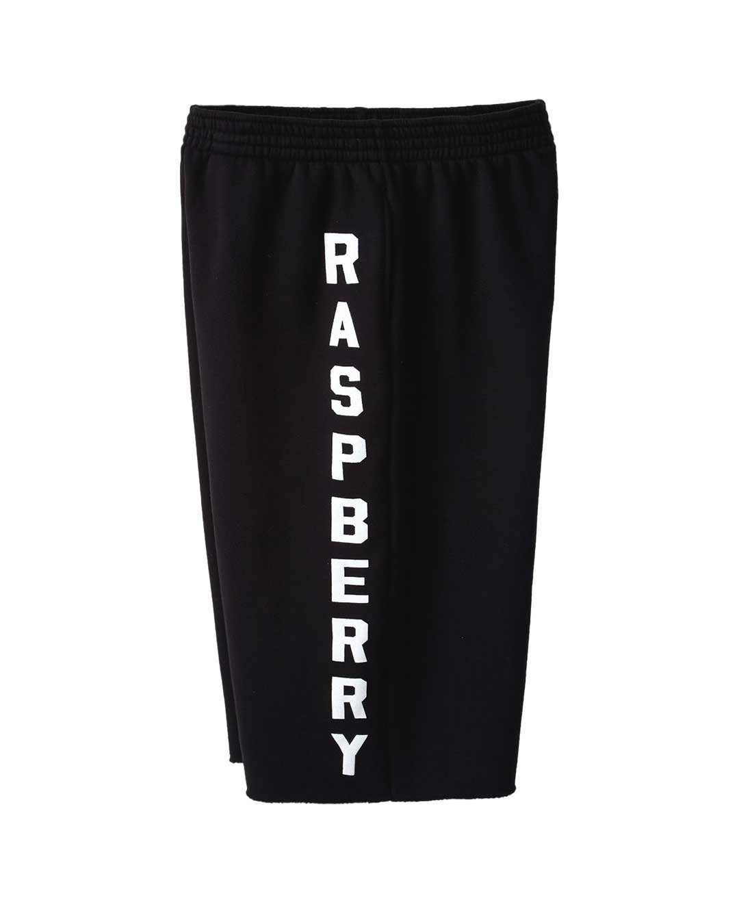 GV Gallery Berry Cutoff Shorts black, side view showing the full RASPBERRY leg wordmark