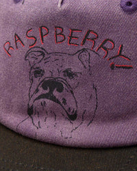 GV Gallery Bulldog Hat Purple