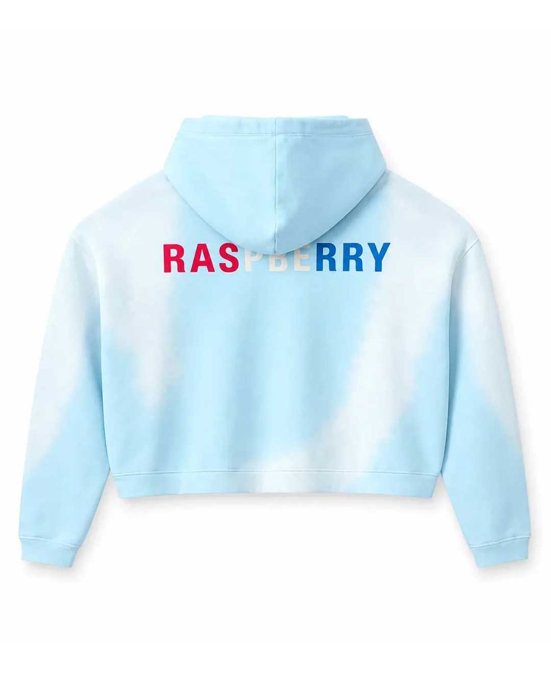 GV Gallery Czech Hoodie light blue, large red and blue Raspberry lettering across the back, back view