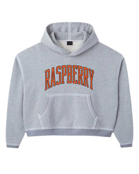 GV Gallery SF Crop Hoodie Grey