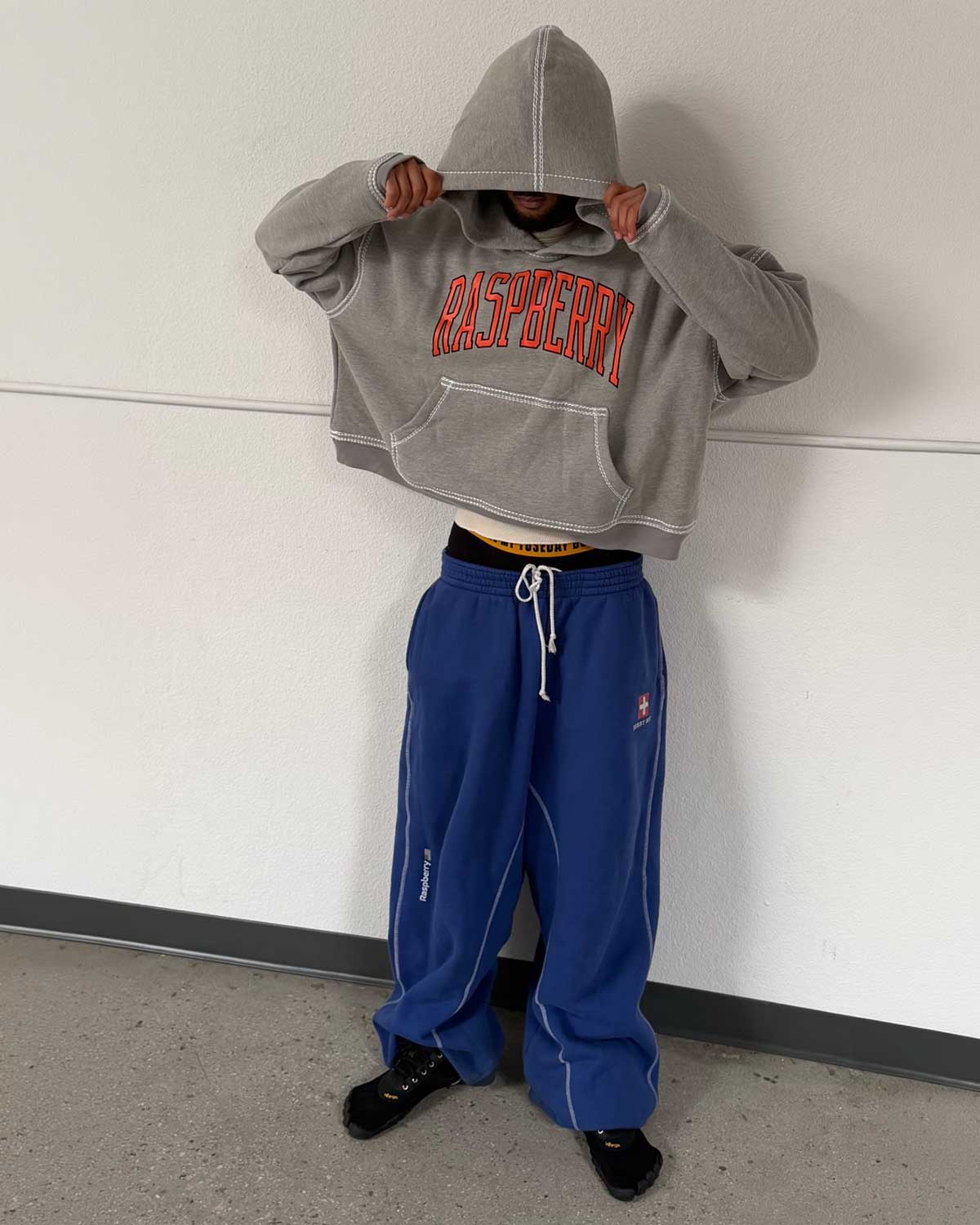 GV Gallery SF Crop Hoodie Grey