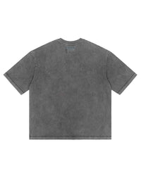 Godspeed Alexa NG Tee washed grey, plain back view