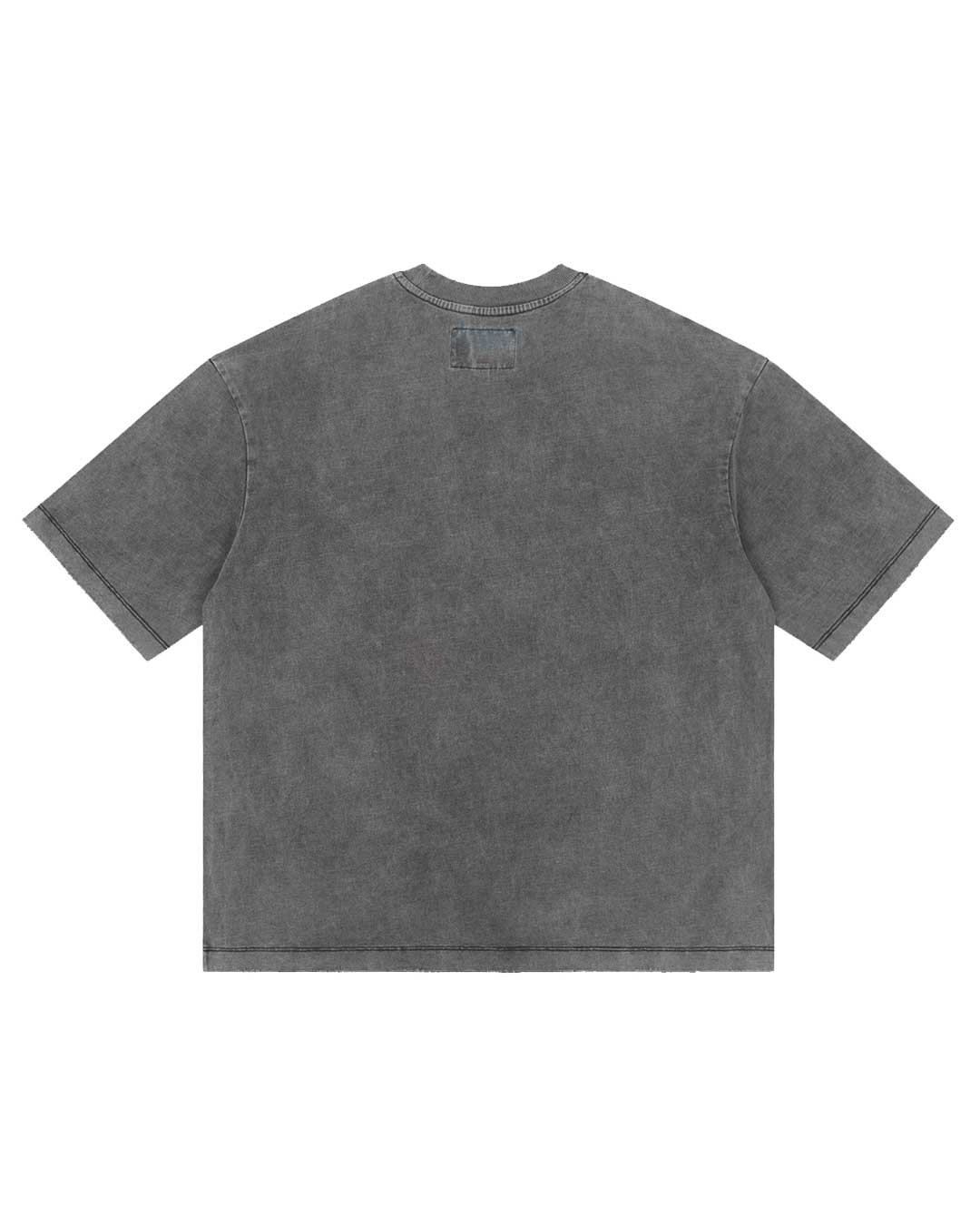 Godspeed Alexa NG Tee washed grey, plain back view