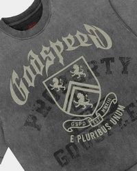 Godspeed Collegiate Tee Grey Wash, angled front view showing the boxy cut and raw hem