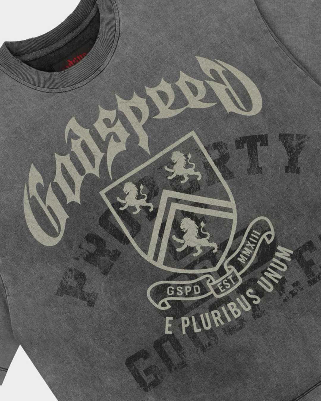 Godspeed Collegiate Tee Grey Wash, angled front view showing the boxy cut and raw hem