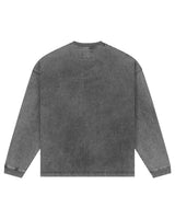 Godspeed Dream Team NG L/S Tee grey, plain washed grey back view