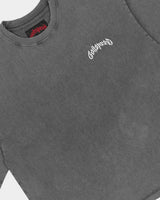 Godspeed Vital Short Set grey wash, close-up of the arched godspeed script