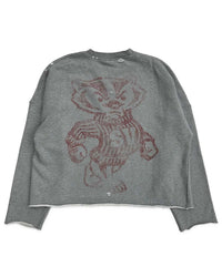 Saint Vanity Badgers Crewneck Grey