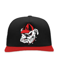Saint Vanity Dawgs SnapBack Black