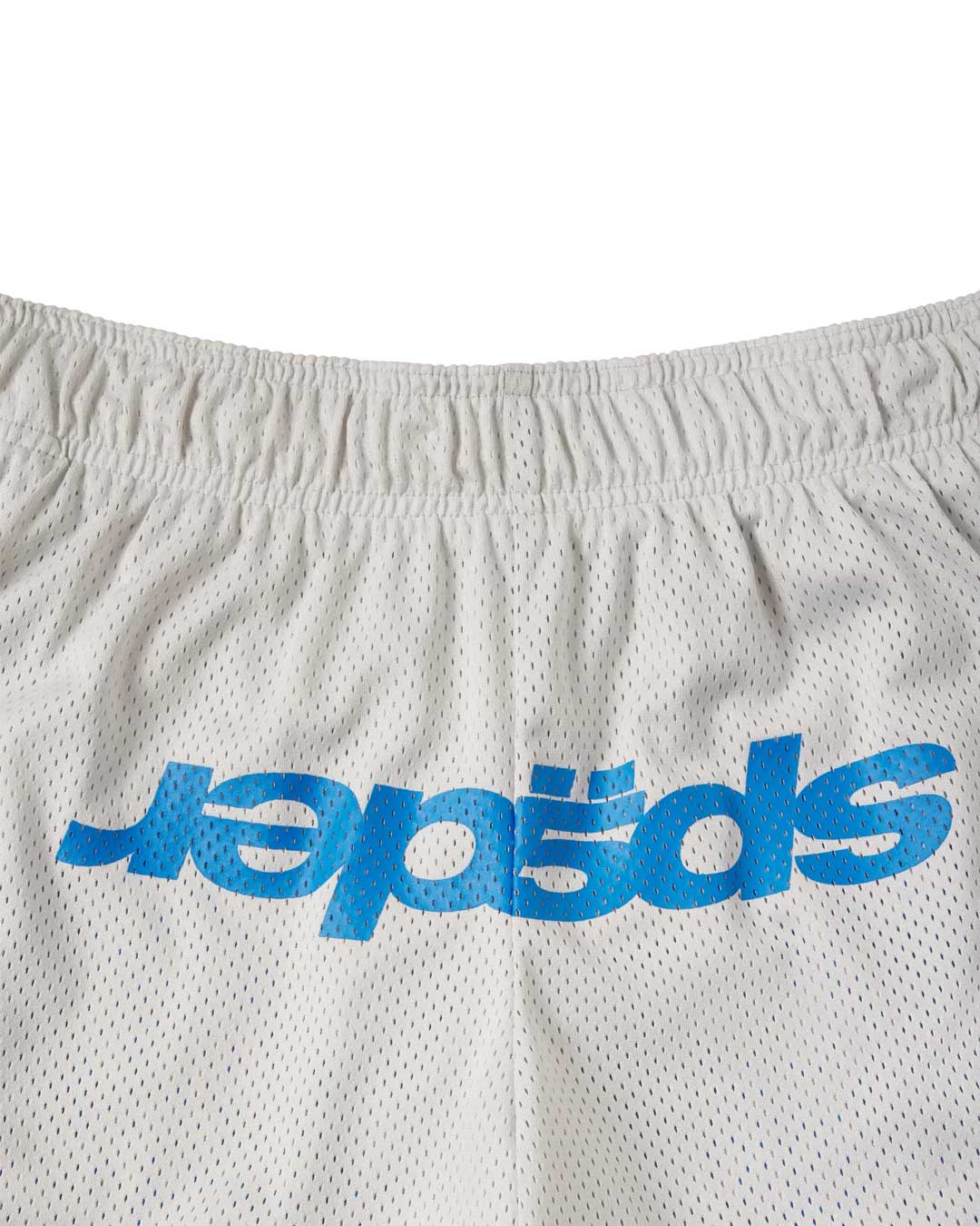 Sp5der Mesh Double Layer Shorts plastic, close-up of the blue spiderweb print on the grey mesh liner