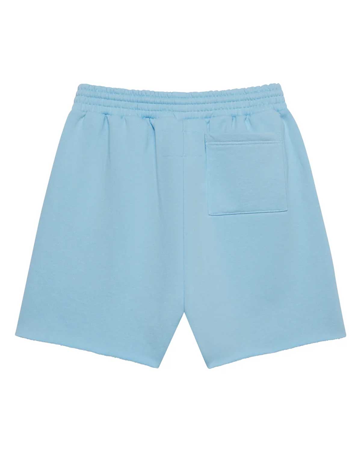 Sp5der OG Web Sweatshorts Sky Blue – Restock AR