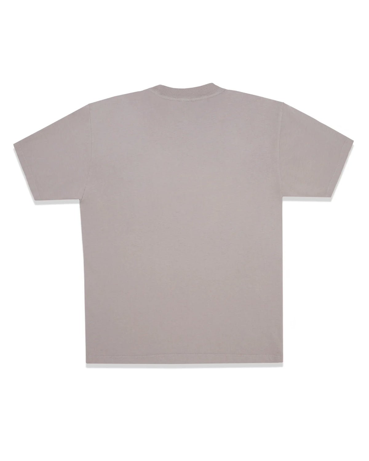 Sp5der Pro LW Tee grey, plain back view