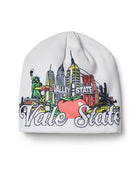 Vale Forever Greyski Beanie White