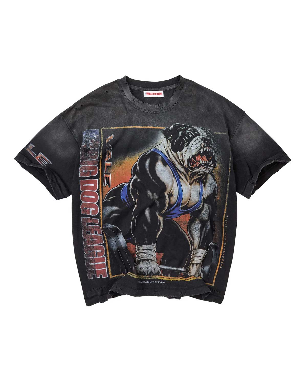 Vale Forever Heavyweight Tee black, washed heavyweight tee with horned-figure graphic, front view