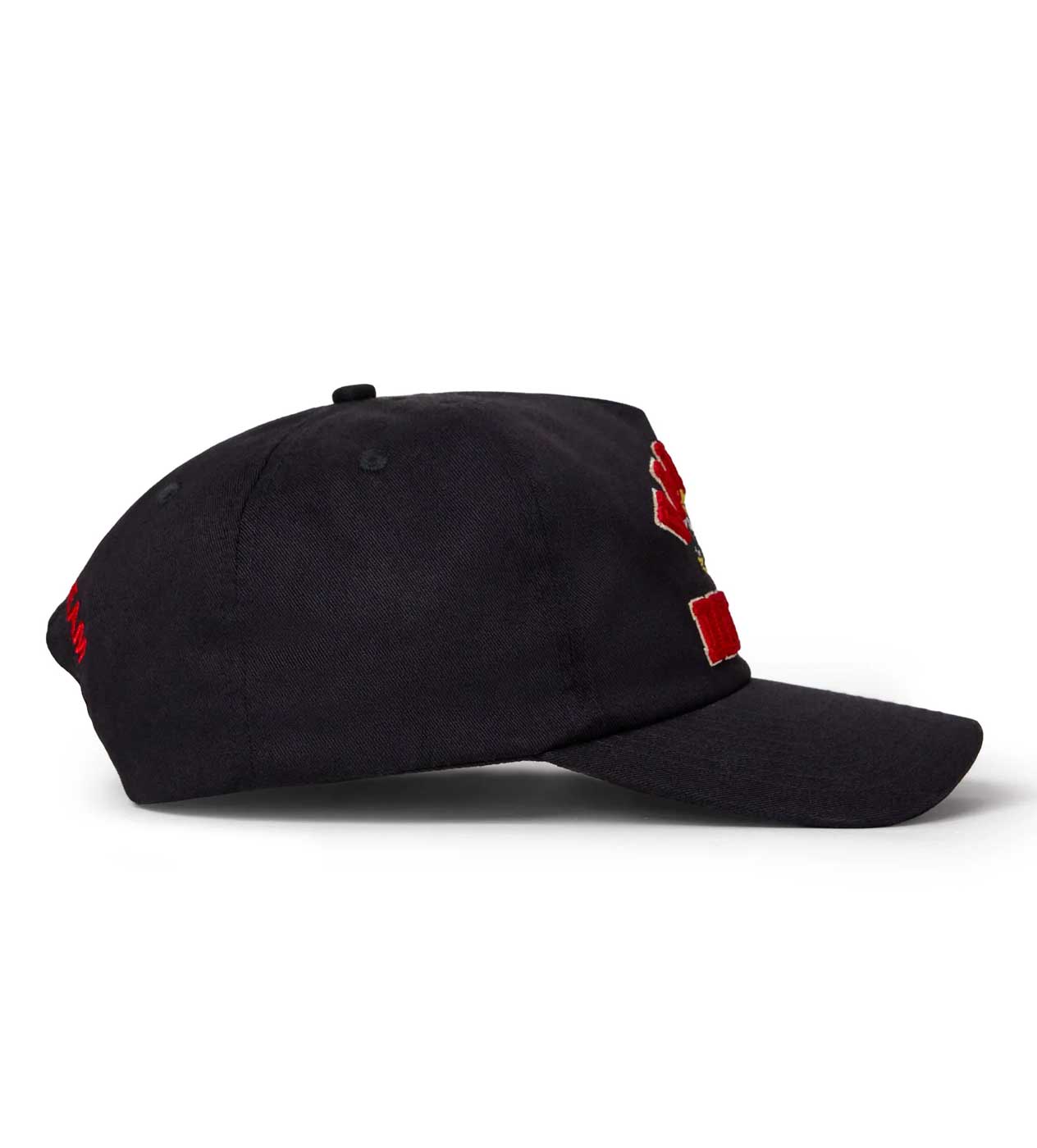 Vale Forever Leonard Snapper Hat Black