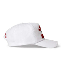 Vale Forever Leonard Snapper Hat White