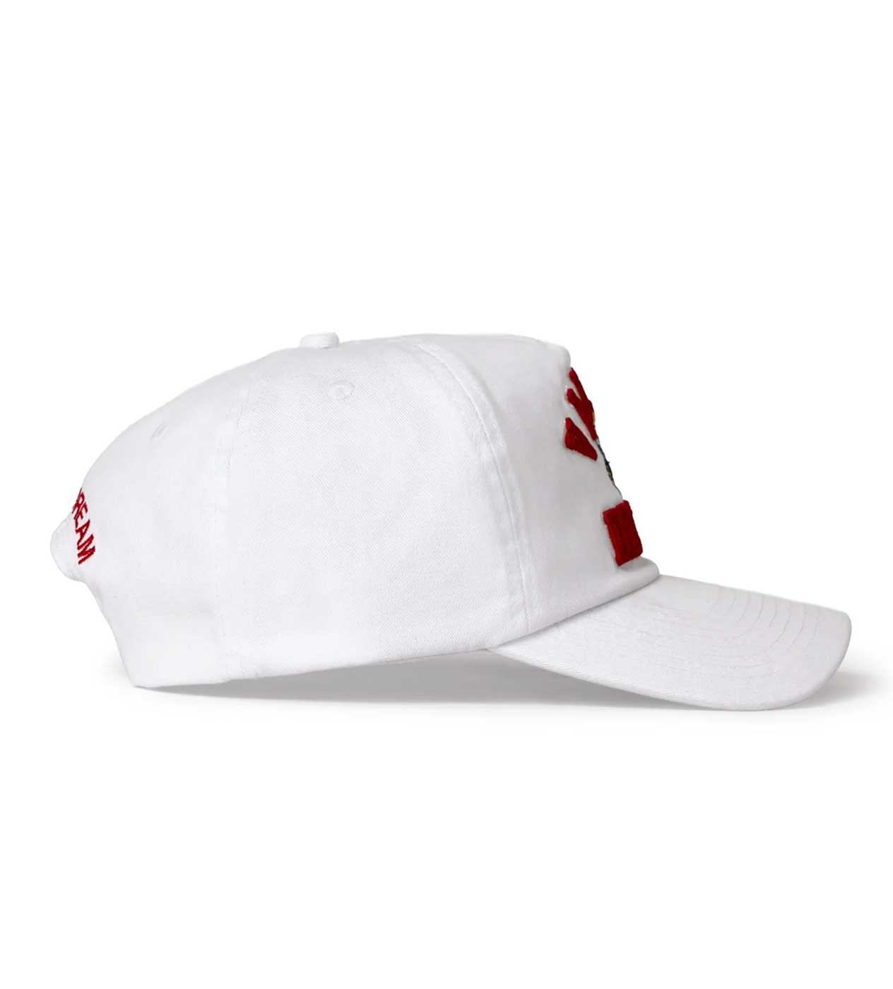 Vale Forever Leonard Snapper Hat White