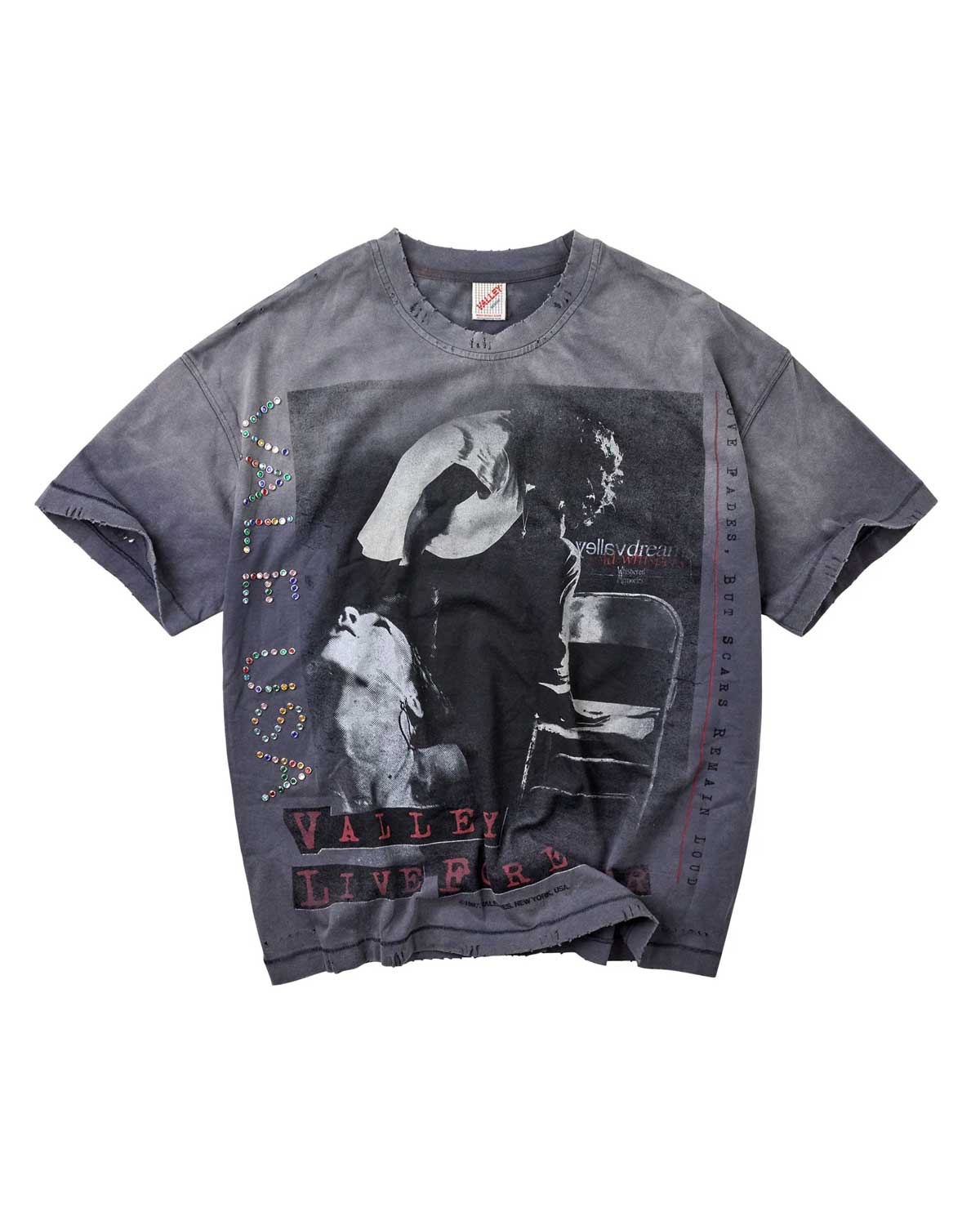 Vale Forever Solo Tee grey, washed grey T-Shirt with valleydream photo print and red VALLEY LIVE PARK lettering, front view