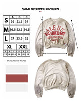 Vale Forever Valemont Pullover Crewneck grey, size chart with measurements