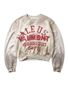 Vale Forever Valemont Pullover Crewneck Grey