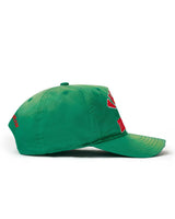 Vale Forever Wrecked Anthem Cap Green