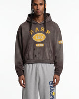 A model wearing a dark brown washed cropped hoodie with yellow varsity-style graphics reading 'RASP 150' and '46', paired with light gray sweatpants, against a plain white background.